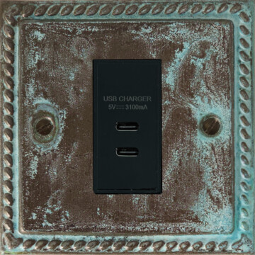 monarch verdigris usb charger (2x usb c) (1 gang/black insert) front fc20825