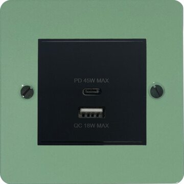 flat sage green usb charger (dual usb a + c quick charge) (1 gang/black insert) front fc20825
