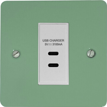 flat sage green usb charger (2x usb c) (1 gang/white insert) front fc20825