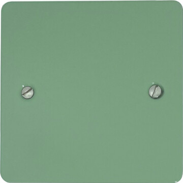 flat sage green single blank plate front fc20825