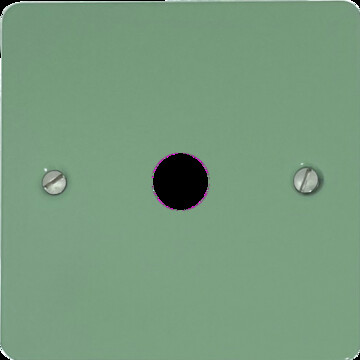 Flat Sage Green Toggle Switch (1 Gang)