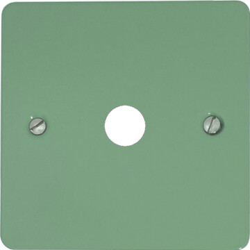 flat sage green toggle grid plate (1 gang) front fc20825