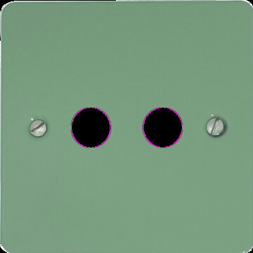 Flat Sage Green Toggle Switch (2 Gang)
