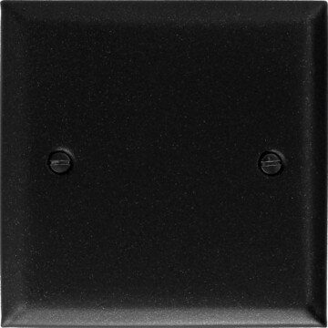 spectrum graphite single blank plate front fc20825